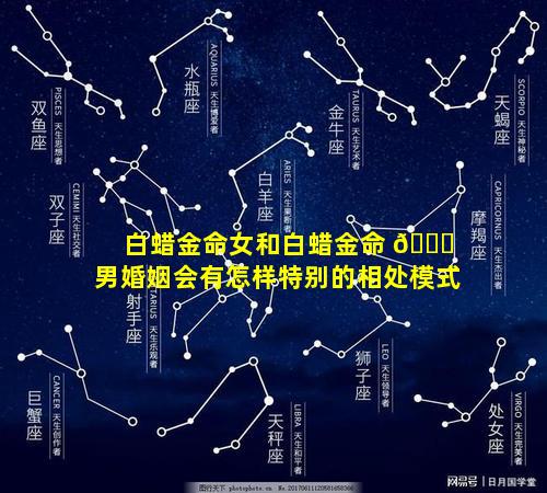 白蜡金命女和白蜡金命 🐒 男婚姻会有怎样特别的相处模式